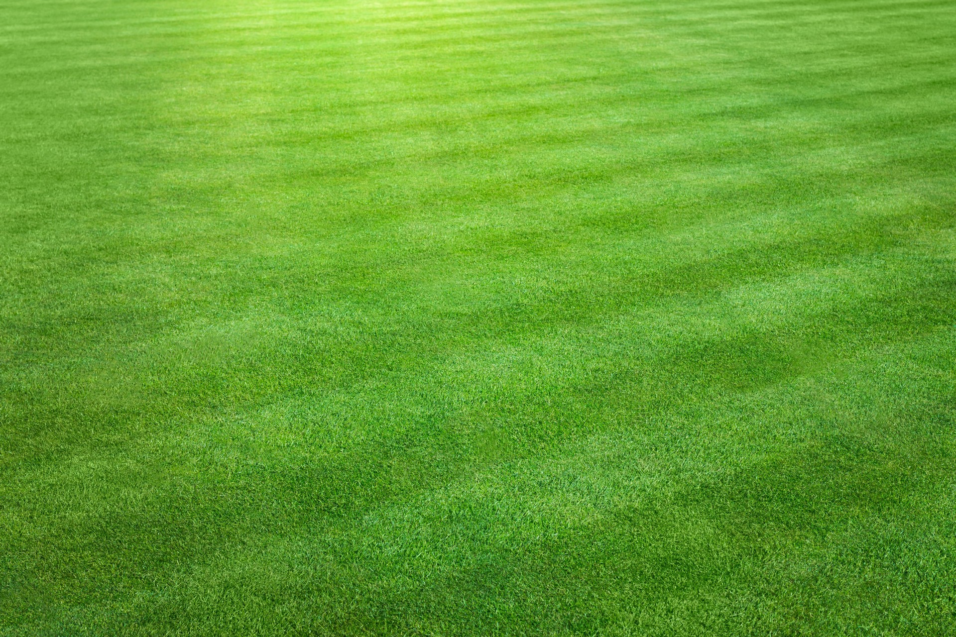 Jasper Indiana lawn care